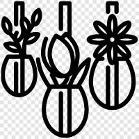 Blossom, Bloom, Bloomer, Florist icon svg