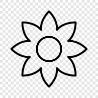 Blossom, Bloom, Bloomers, Bouquet icon svg