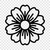 Blossom, Bloom, Bloomer, Flower icon svg