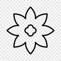 Blossom, Bloom, Garden, Gardener icon svg