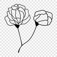 Blossom, Bloom, Bloomer, Bloomer Girl ikon svg