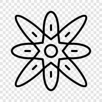 Blüten, Blüte, Knospen, Blätter symbol