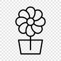 Blossom, Bloom, Plant, Blooms icon svg