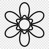 Blossom, Bloom, Bloomer, Blooms icon svg