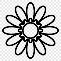 Blossom, Bloom, Bloomers, Flowers icon svg