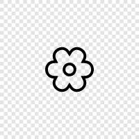 Blossom, Bloom, Bloomer, Blooms icon svg