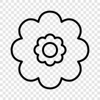 blossom, petal, beauty, fragrance icon svg