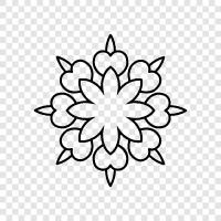 Blüte, Daisy, Blume symbol