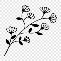 Blossom, Bloom, Bloomer, Blooms icon svg