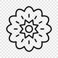 Blossoming, Bloom, Foliage, Bloom Time icon svg