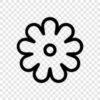 Blossoming, Bloom, Bloomers, Bloomy icon svg