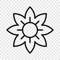 Blossoms, Bloom, Plant, Garden icon svg