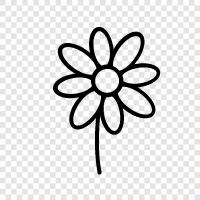 Blossoms, Bloom, Bloomers, Bouquet ikon svg