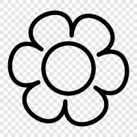 Blossoms, Bouquet, Florist, Plant icon svg