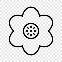 Blossoms, Bloom, Petals, Bouquet ikon svg