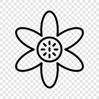 Blossoms, Bouquet, Daffodil, Daisy ikon svg