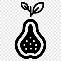 Blueberry, Apple, Pear cider, Pear jam icon svg