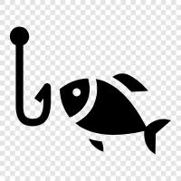 boat fishing, fly fishing, spinning, trolling icon svg