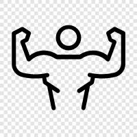 Bodybuilder, Bodybuilding Workouts, Muskel, Workout symbol