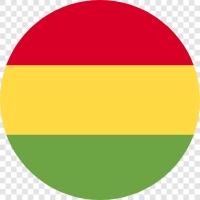 bolivia flag circular icon