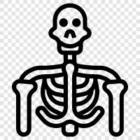 bones, death, mortality, Skeleton icon svg