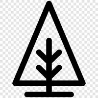 bonsai, shrub, flowering, leaves icon svg