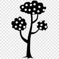 Bonsai, Ficus, Palm, Olive Tree: icon svg