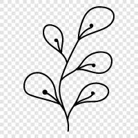 Botanical, Flower, Bloom, Plant Habit icon svg
