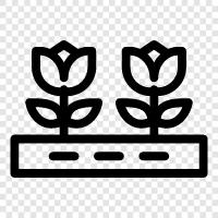 botanical, garden, gardening, plants icon svg