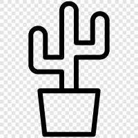 Botany, Plant, Flora, Desert icon svg