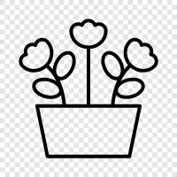 botany, gardening, gardening tips, flower arrangement icon svg