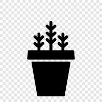 botanik, bahçecilik, çiçekler, satılık bitkiler ikon svg