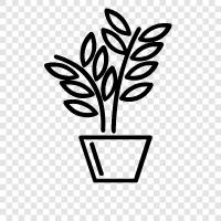 Botany, Flowers, Vegetables, Gardening icon svg