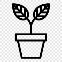 Botany, Gardening, Flowers, Vegetables icon svg