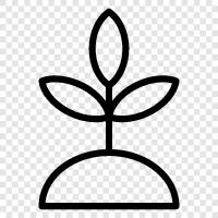 Botanik, Gartenarbeit, Pflanzen, Blumen symbol