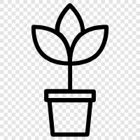 Botany, Flowers, Garden, Vegetables icon svg