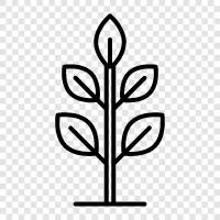 Botany, Gardening, Flowers, Vegetables icon svg