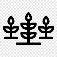 botany, flowers, plants for sale, gardening icon svg