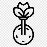 Botany, Flowers, Gardening, Plant Parentheses icon svg