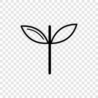 botany, plant biology, plant physiology, plant chemistry icon svg