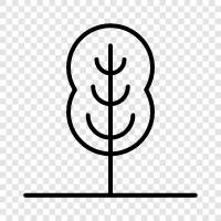 Botany, Plant, Fertilize, prune icon svg