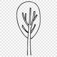 botany, plant, leaves, trunk icon svg