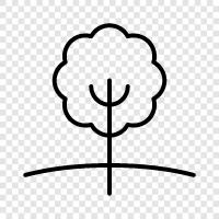 Botany, Plant Sciences, Plant Breeding, Plant Genetics icon svg