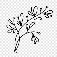 Botanik, Blumen, Samen, Blätter symbol