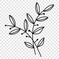 botany, flower, seed, growth icon svg