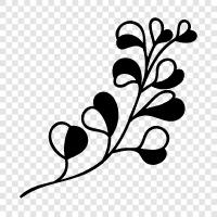 Botany, Flowers, Vegetables, Plant icon svg