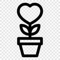 Botany, Plant Science, Plant Biotechnology, Plant icon svg