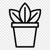 Botany, Gardening, Flowers, Vegetables icon svg