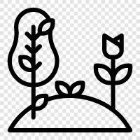 Botany, Flowers, Plant Species, Plant Habit icon svg