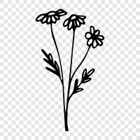 botany, plants, flowers, gardening icon svg